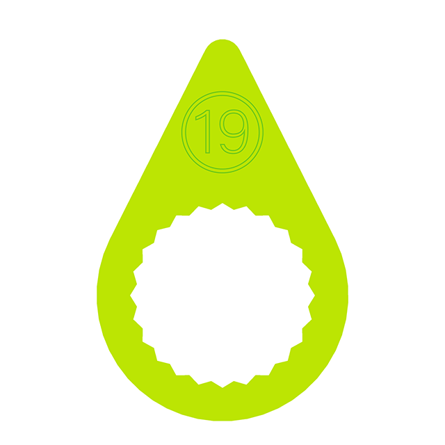 CP19