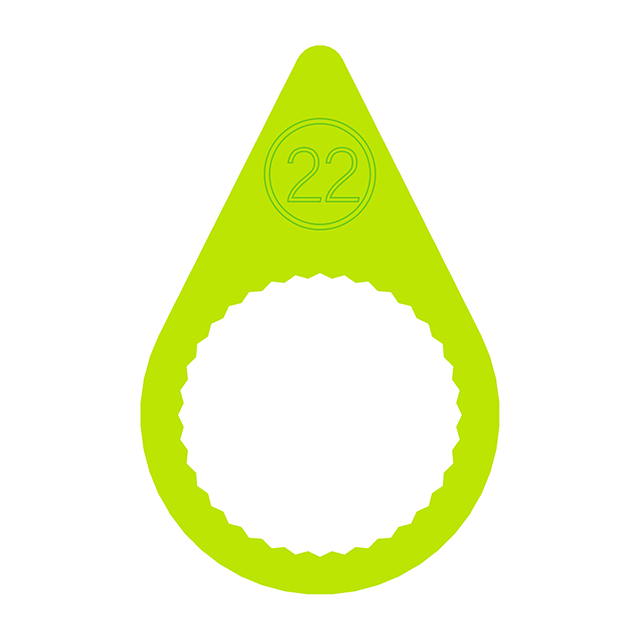 CP22
